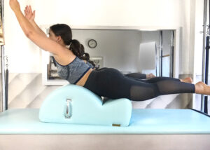 Swan Spine corrector